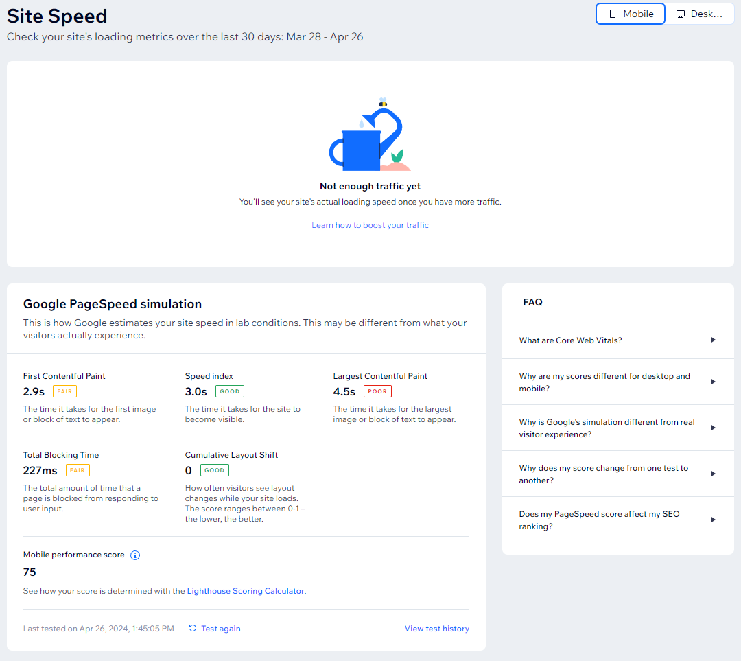Google Page Speed Insights