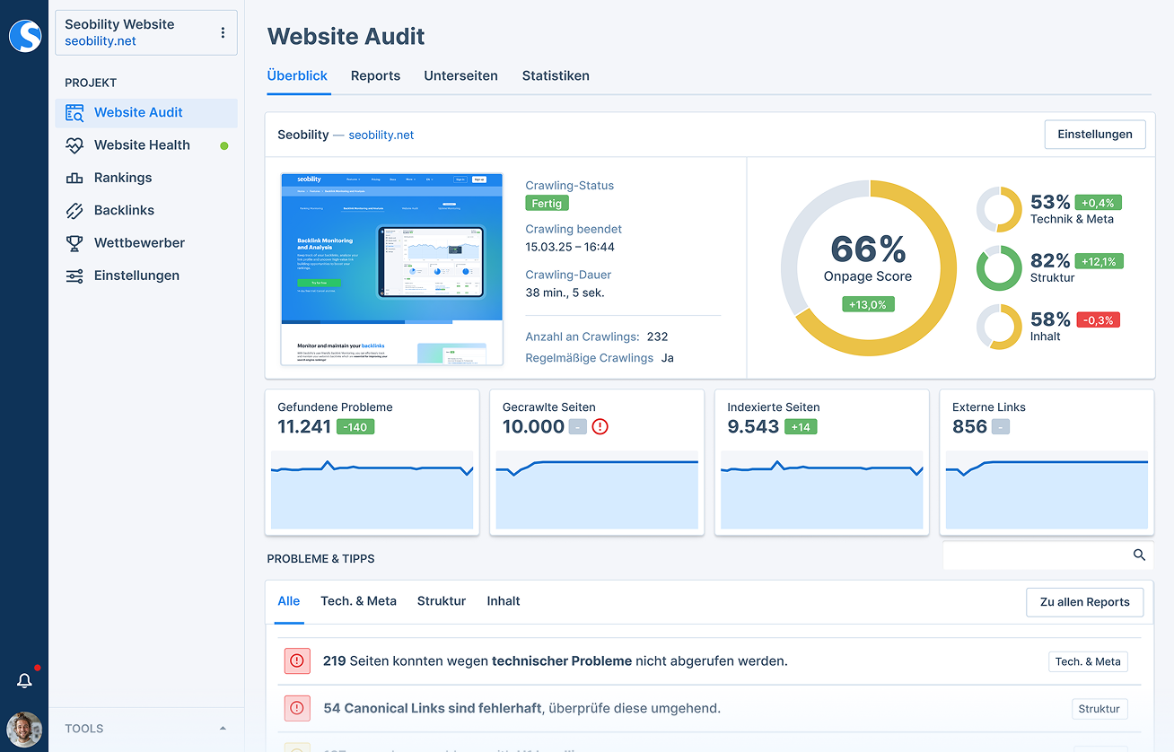 Seobility Website Audit